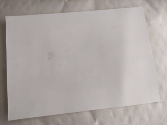 Image 1 of Foto Naked Helmut Newton signiert