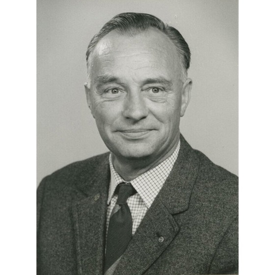 Image 1 of Paar alte Teakholzstühle mit Leiterlehne Lis von Niels Koefoed für Koefoeds Hornslet, 1960er Jahre