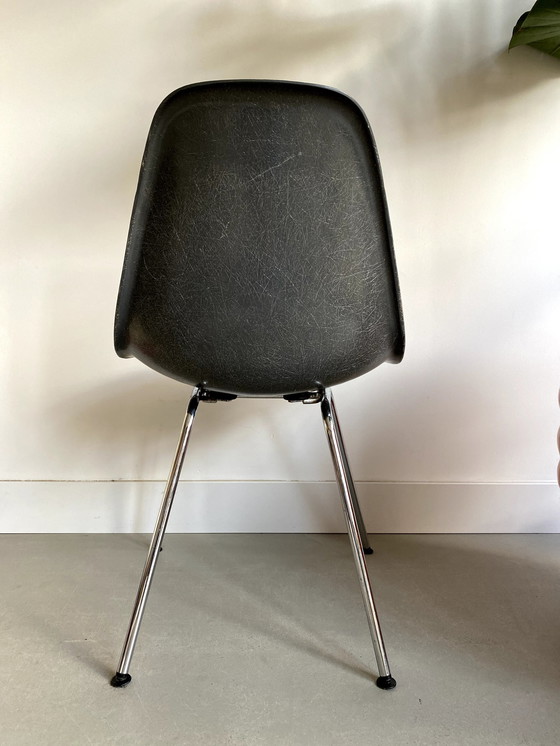 Image 1 of Herman Miller Eames Fiberglas Elefantenfell grau