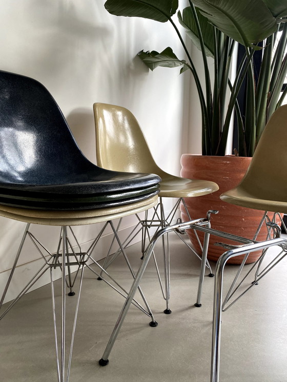 Image 1 of Herman Miller Eames Fiberglas Elefantenfell grau