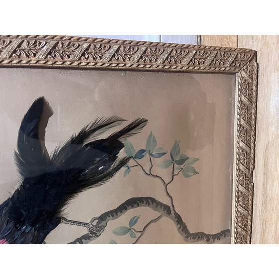Image 1 of Klassische Vogelillustration mit Federkollage, 1930-1940er Jahre