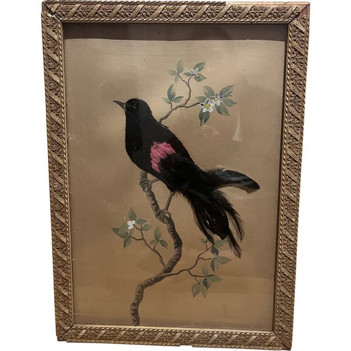 Klassische Vogelillustration mit Federkollage, 1930-1940er Jahre