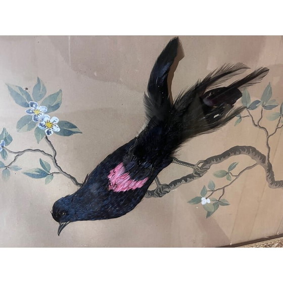 Image 1 of Klassische Vogelillustration mit Federkollage, 1930-1940er Jahre