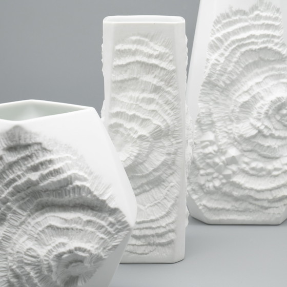 Image 1 of Manfred Frey Ak Kaiser Biskuit Porzellan Vase Fossil Ammonit Relief Opart Quartett