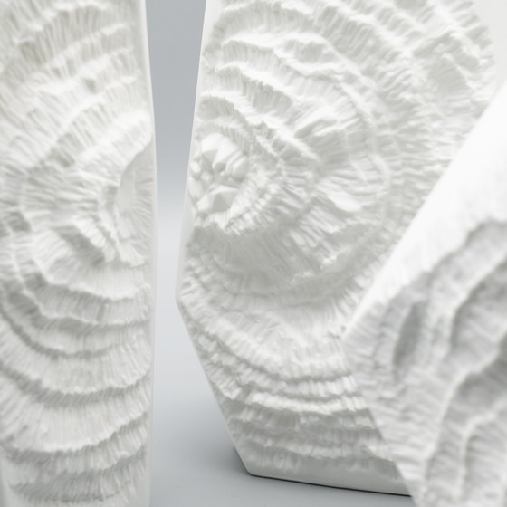 Image 1 of Manfred Frey Ak Kaiser Biskuit Porzellan Vase Fossil Ammonit Relief Opart Quartett