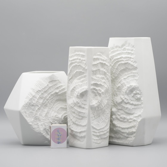 Image 1 of Manfred Frey Ak Kaiser Biskuit Porzellan Vase Fossil Ammonit Relief Opart Quartett