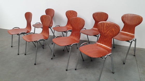 Image 1 of 8x Eromes Pagholz stapelbarer Designerstuhl