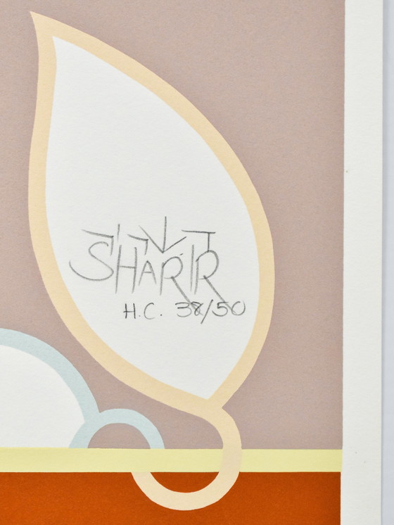 Image 1 of David Sharir – Ein Tor für den Garten