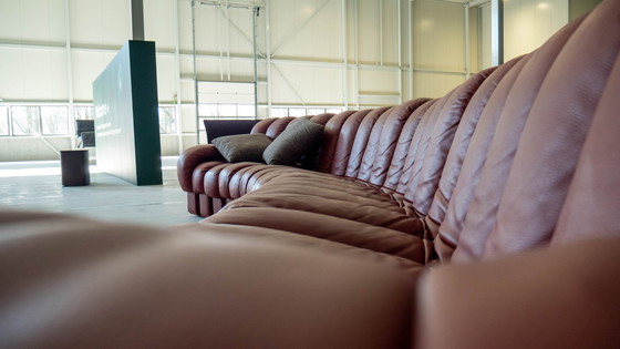 Image 1 of De Sede DS-600 Schlangenledercouch