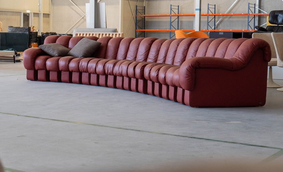 Image 1 of De Sede DS-600 Schlangenledercouch