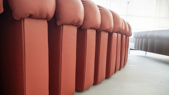 Image 1 of De Sede DS-600 Schlangenledercouch