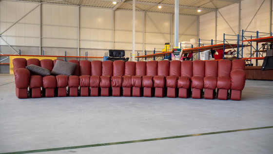 Image 1 of De Sede DS-600 Schlangenledercouch