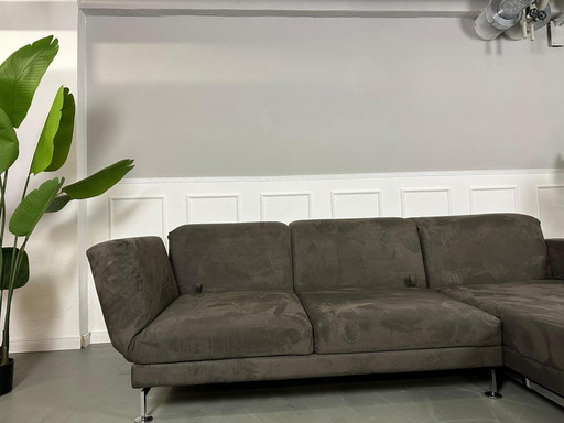 Brühl Moule Ecksofa Designer Sofa Couch Lieferung