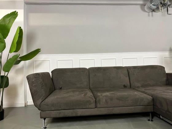 Image 1 of Brühl Moule Ecksofa Designer Sofa Couch Lieferung