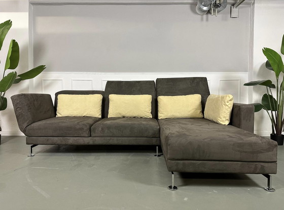 Image 1 of Brühl Moule Ecksofa Designer Sofa Couch Lieferung