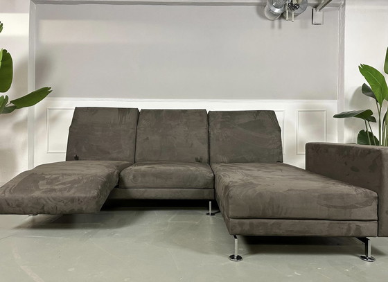 Image 1 of Brühl Moule Ecksofa Designer Sofa Couch Lieferung