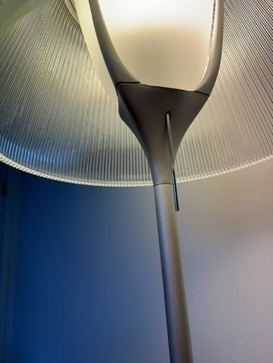 Image 1 of Flos Romeo Moon T1 Tisch-/Schreibtischleuchte