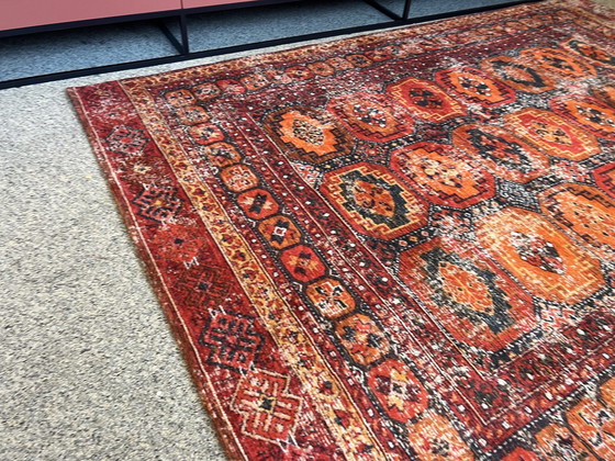 Image 1 of Brink und Campman Perennial Beshir Teppich