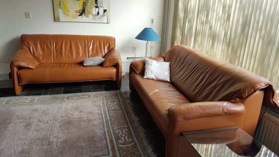 Image 1 of Zwei Leolux Ledersofas oder separat im Angebot