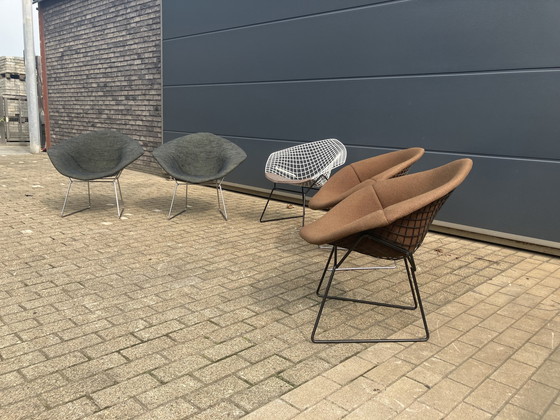 Image 1 of 5x Knoll Bertoia Diamond Stuhl gepolstert