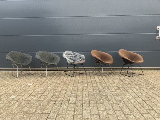 Image 1 of 5x Knoll Bertoia Diamond Stuhl gepolstert