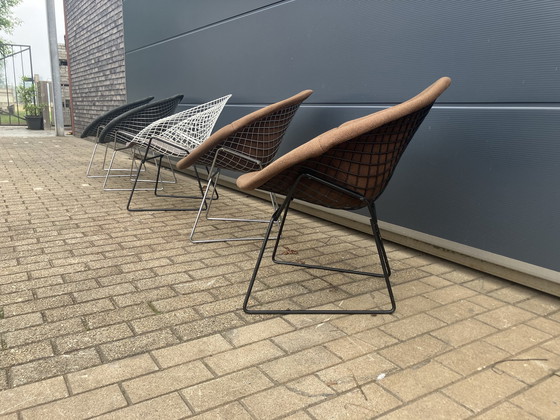 Image 1 of 5x Knoll Bertoia Diamond Stuhl gepolstert