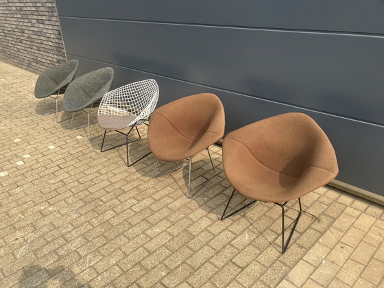 Image 1 of 5x Knoll Bertoia Diamond Stuhl gepolstert