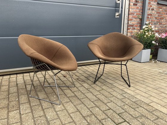 Image 1 of 5x Knoll Bertoia Diamond Stuhl gepolstert