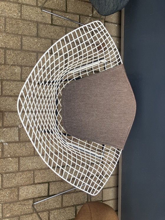 Image 1 of 5x Knoll Bertoia Diamond Stuhl gepolstert