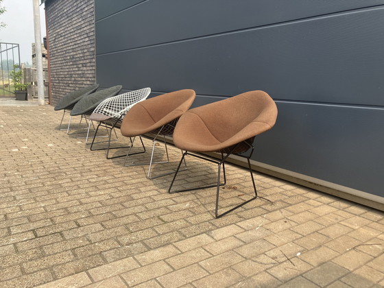 Image 1 of 5x Knoll Bertoia Diamond Stuhl gepolstert