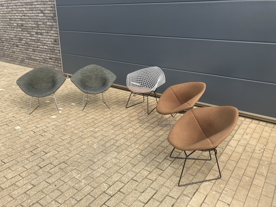 Image 1 of 5x Knoll Bertoia Diamond Stuhl gepolstert