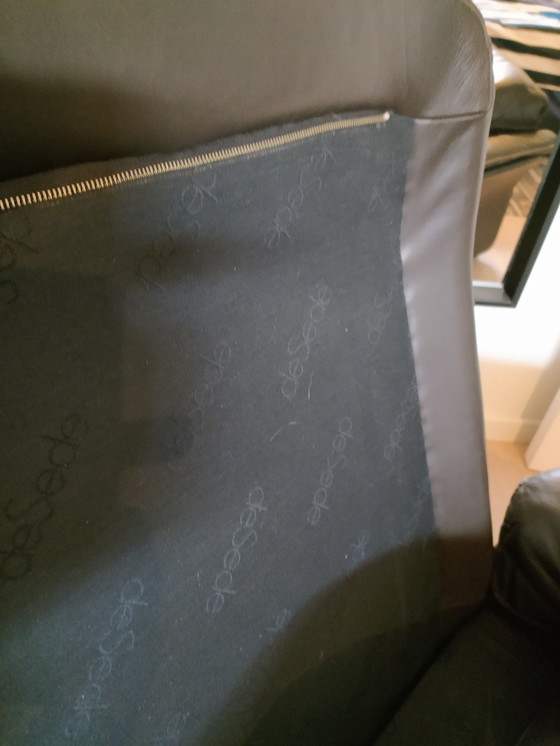 Image 1 of De Sede DS 49 Agarro Sessel