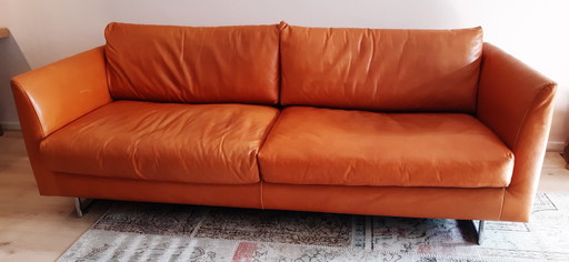 Guus Seidenledersofa - Farbe Haselnuss.