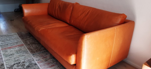 Guus Seidenledersofa - Farbe Haselnuss.