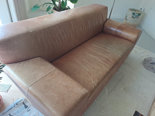 Montis Büffelleder-Sofa