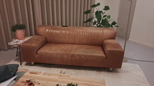 Montis Büffelleder-Sofa