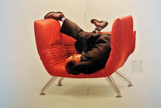 Image 1 of DeSede DS-142 Totzek 1 Sessel