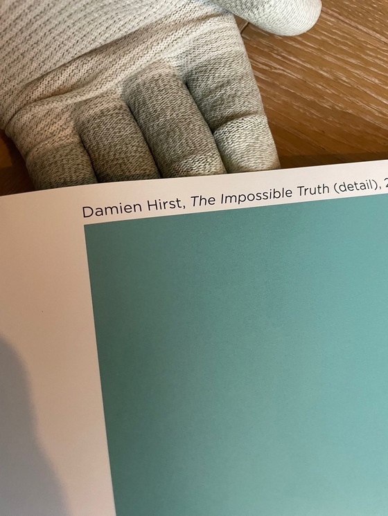 Image 1 of Damien Hirst, The Impossible Truth (Detail), 2007, Copyright Damien Hirst Ans Science Ltd. Gedruckt in Frankreich