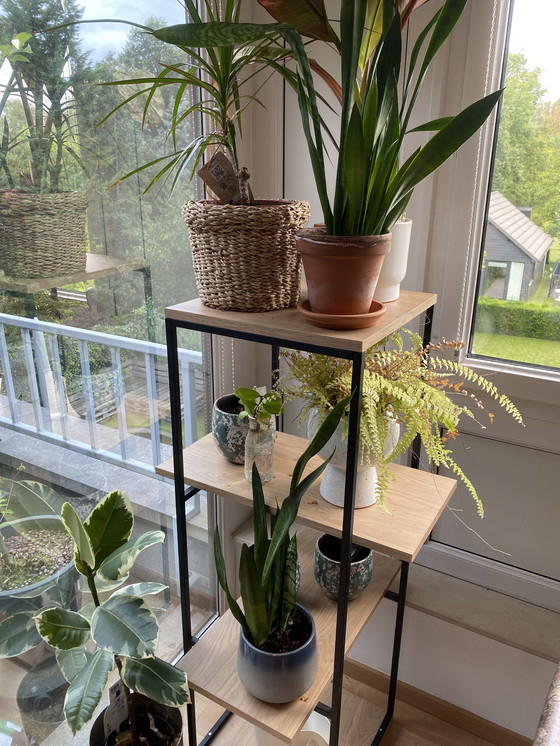 Image 1 of Noor Henderix dekorativer Schrank