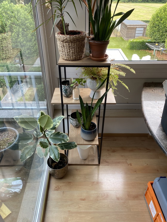 Image 1 of Noor Henderix dekorativer Schrank