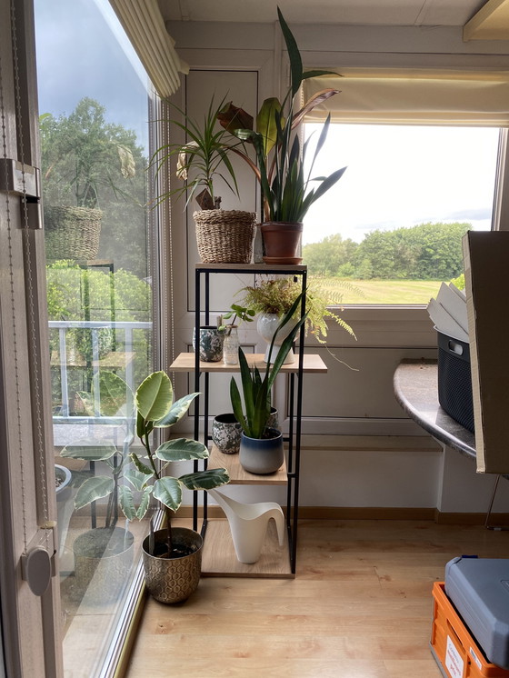 Image 1 of Noor Henderix dekorativer Schrank