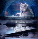 Bethany de Forest - Fisch unter dem Eis (2000) 3/10