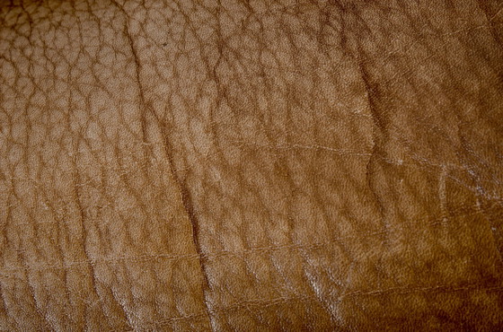 Image 1 of De Sede DS47 3-Sitzer in Nackenleder