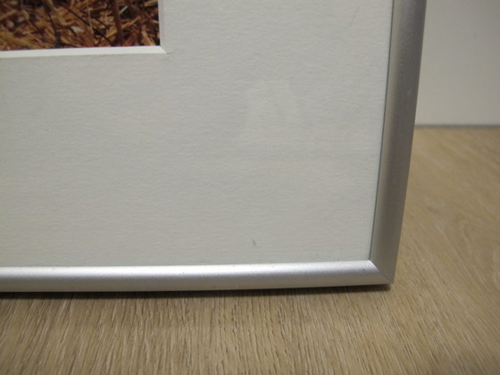 Image 1 of Foto von Frank Kok, ohne Titel