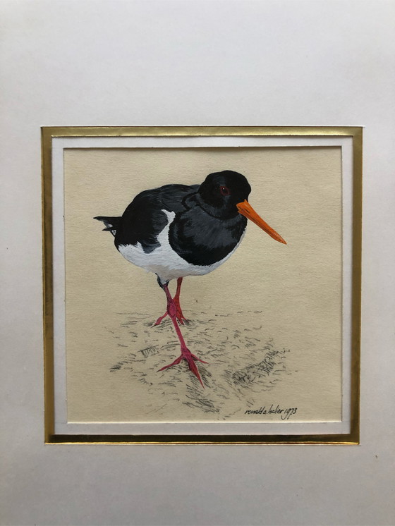 Image 1 of 2x Ronald Halier Vögel