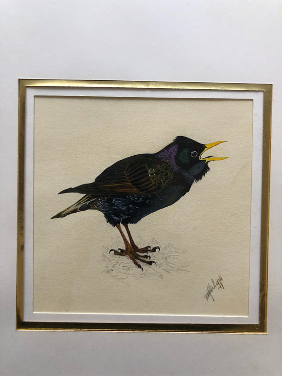 Image 1 of 2x Ronald Halier Vögel