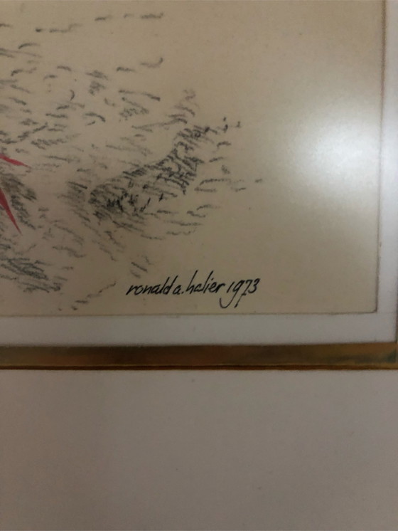 Image 1 of 2x Ronald Halier Vögel