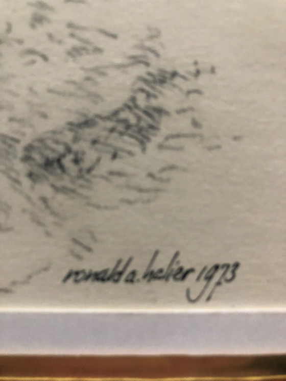 Image 1 of 2x Ronald Halier Vögel