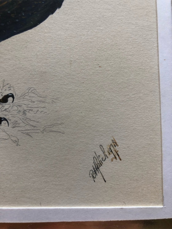 Image 1 of 2x Ronald Halier Vögel