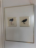 2x Ronald Halier Vögel